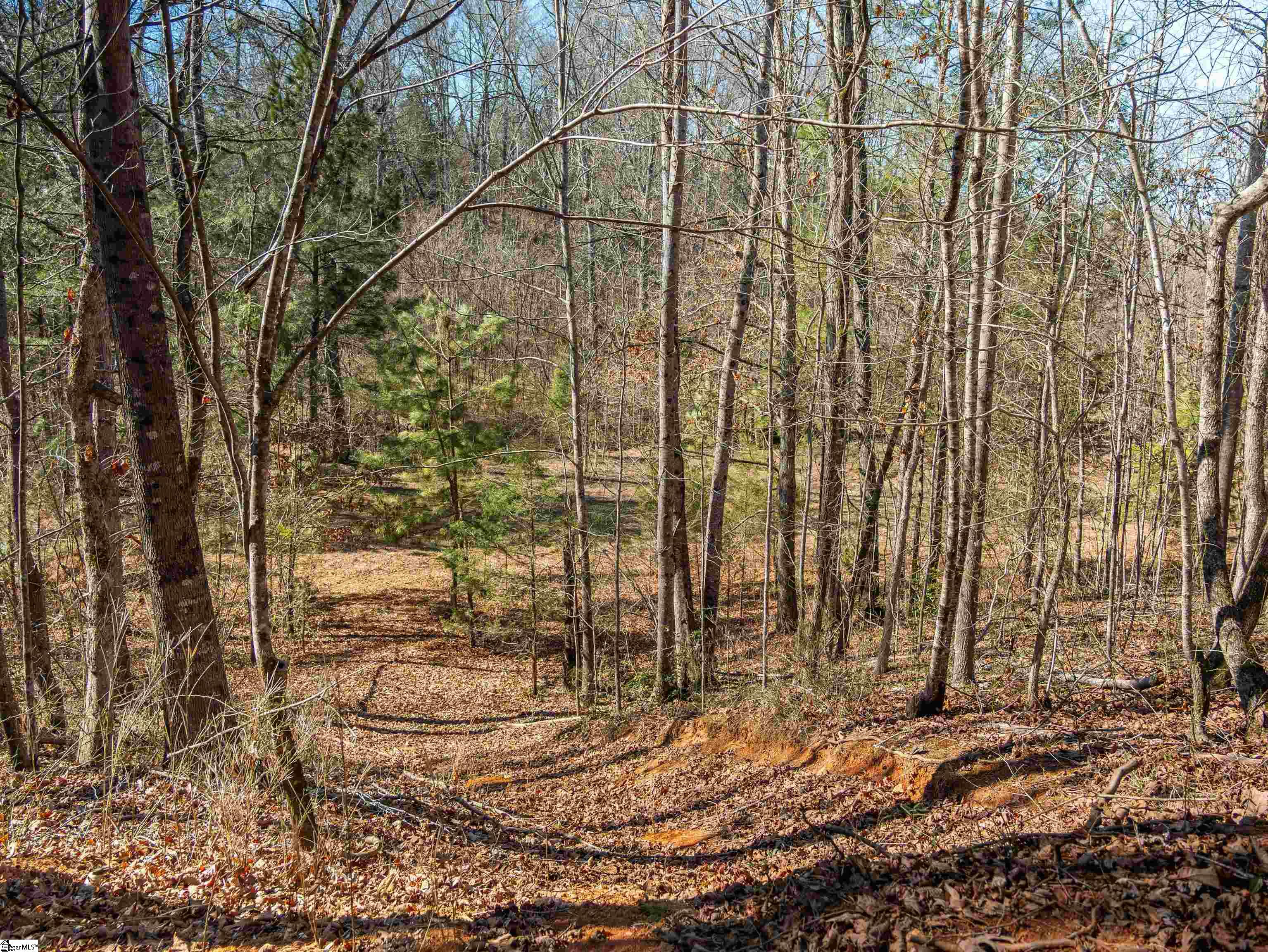 0 Crowe Creek Road, Unit LOT D Six Mile, SC 29682 - Photo 17 of 25