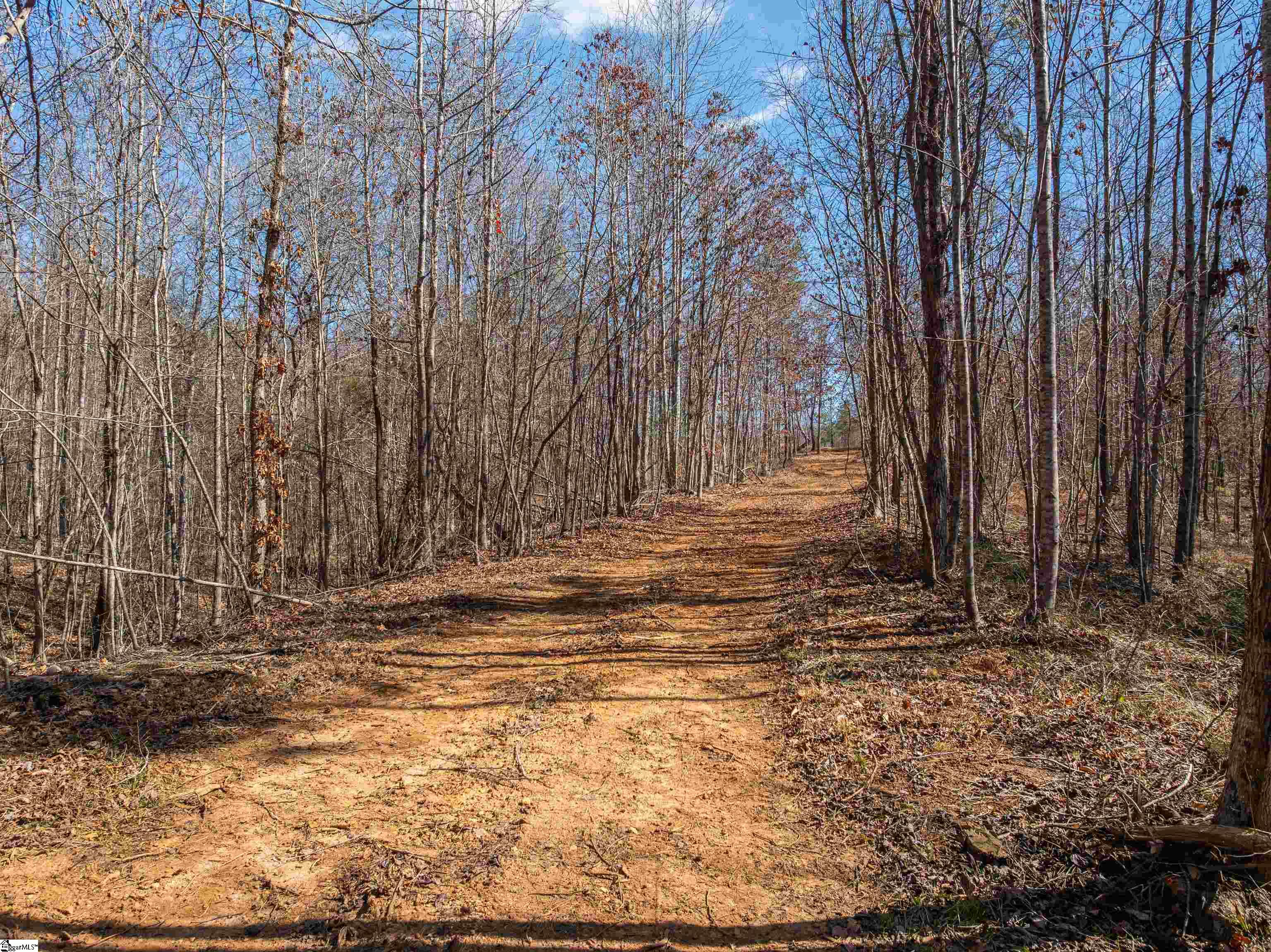 0 Crowe Creek Road, Unit LOT D Six Mile, SC 29682 - Photo 4 of 25