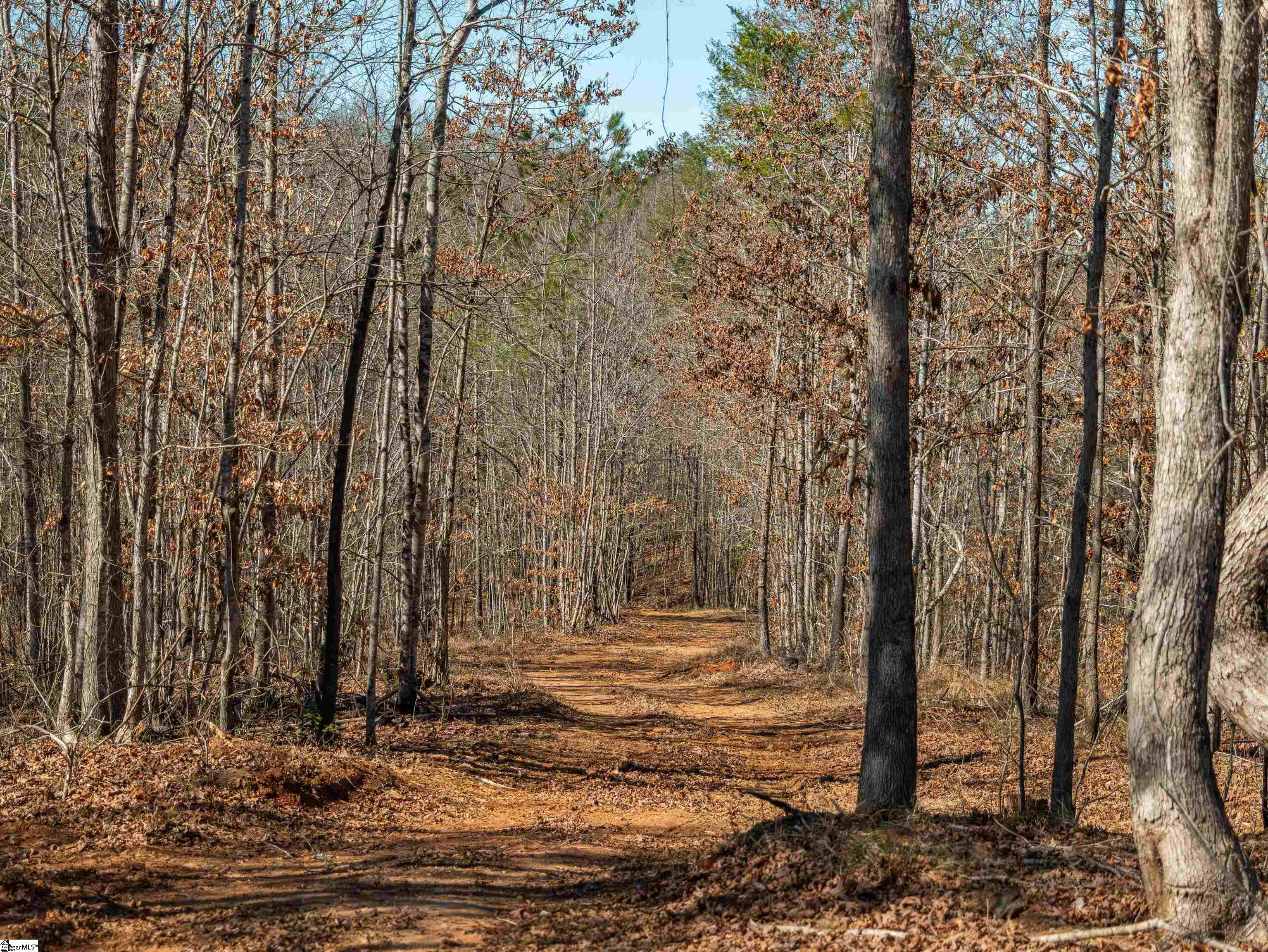 0 Crowe Creek Road, Unit LOT D Six Mile, SC 29682 - Photo 9 of 25