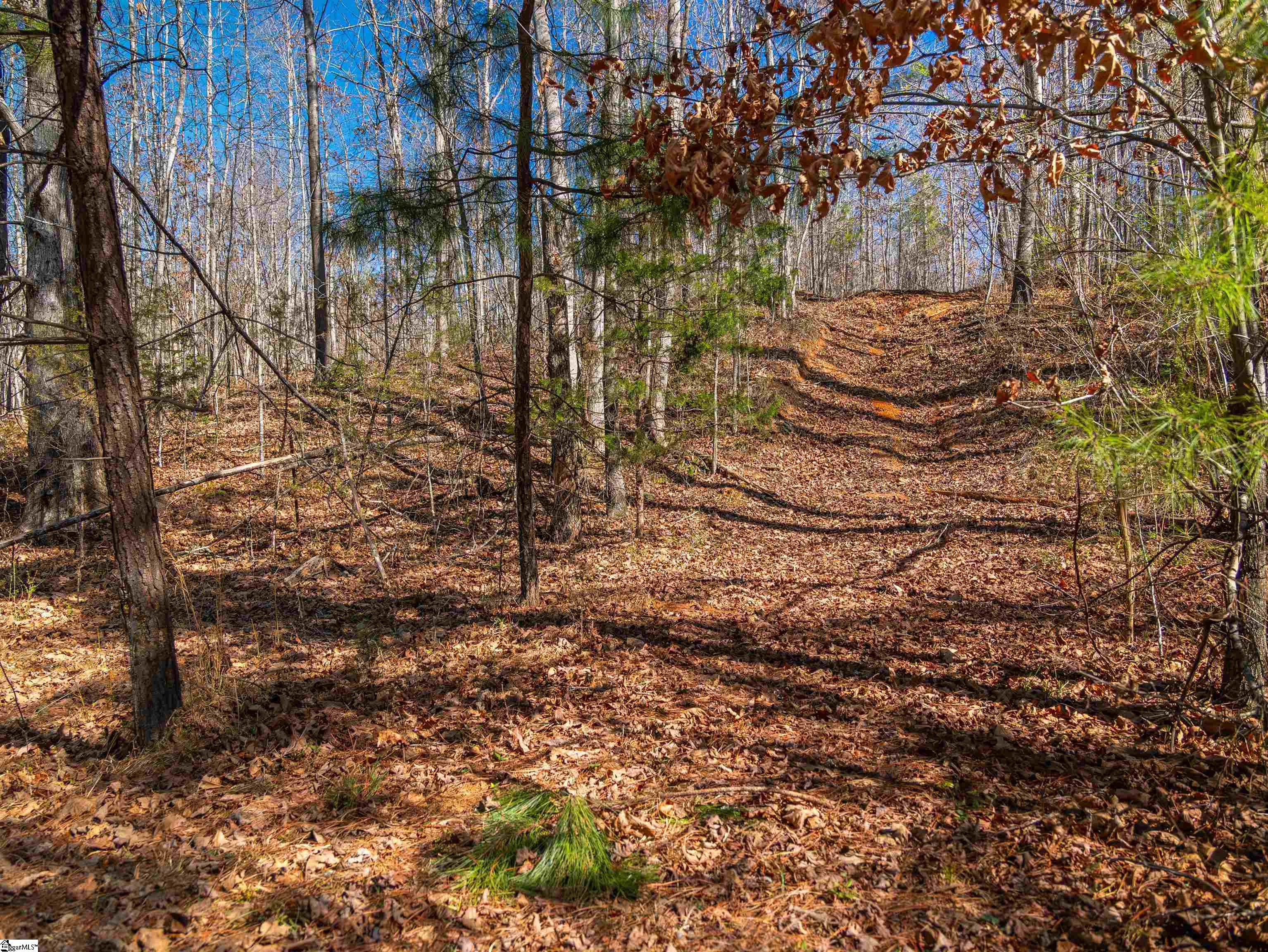 0 Crowe Creek Road, Unit LOT D Six Mile, SC 29682 - Photo 10 of 25