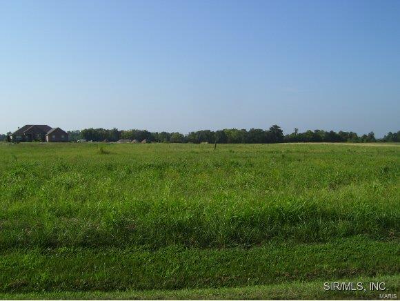 4122 Knab Road Smithton, IL 62285 - Photo 1 of 1 Gallery Image 1