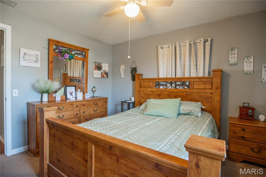 282 West Reed Avenue Puxico, MO 63960 - Photo 15 of 23