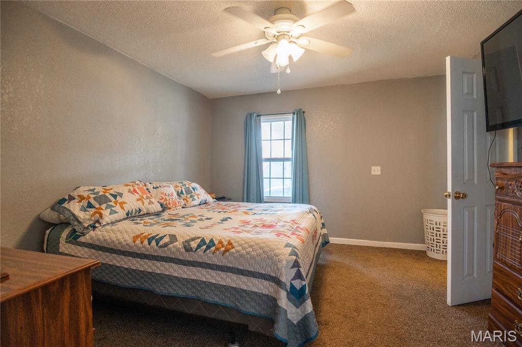 282 West Reed Avenue Puxico, MO 63960 - Photo 17 of 23