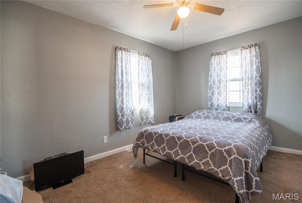 282 West Reed Avenue Puxico, MO 63960 - Photo 10 of 23