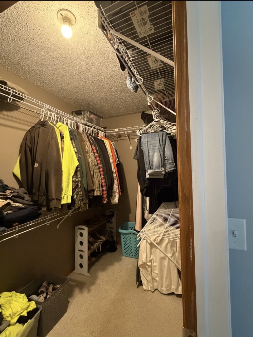 5009 Whispering Pine Circle Thomson, IL 61285 - Photo 27 of 34