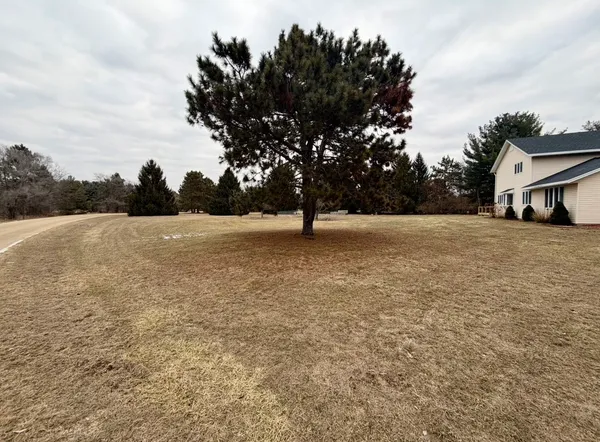 a view of a field with a tree in front of it