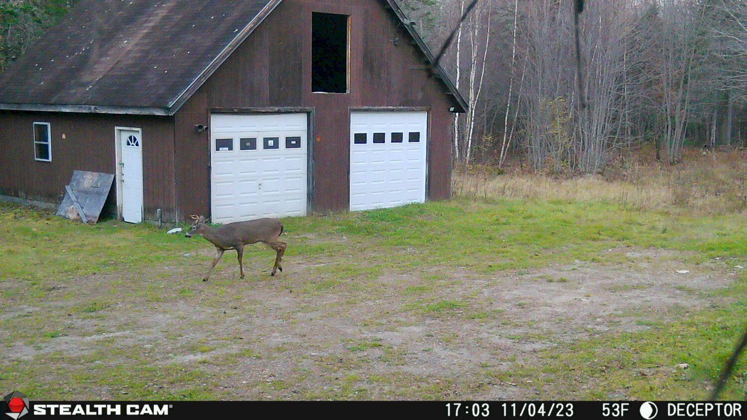340 Campground Road North Anson, ME 04958 - Photo 26 of 29 2023110417031001003260_result