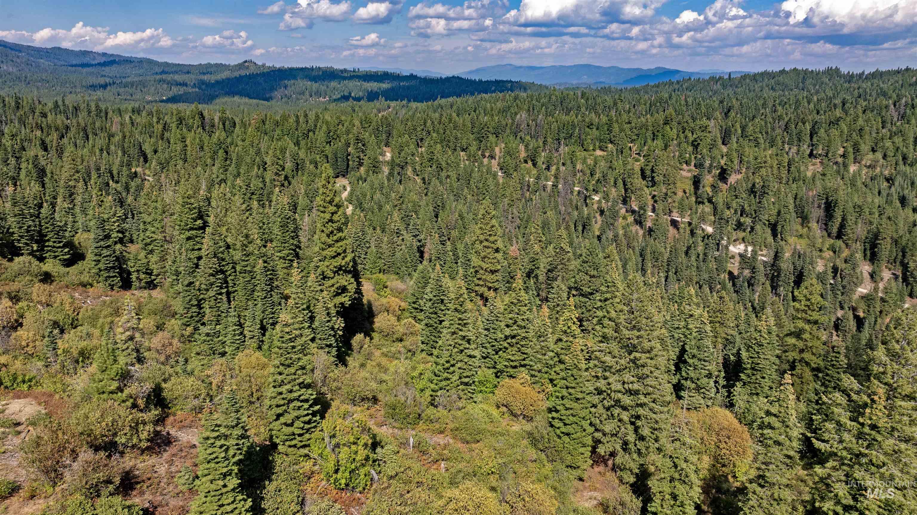 2 High Valley Road Cascade, ID 83611 - Photo 6 of 18