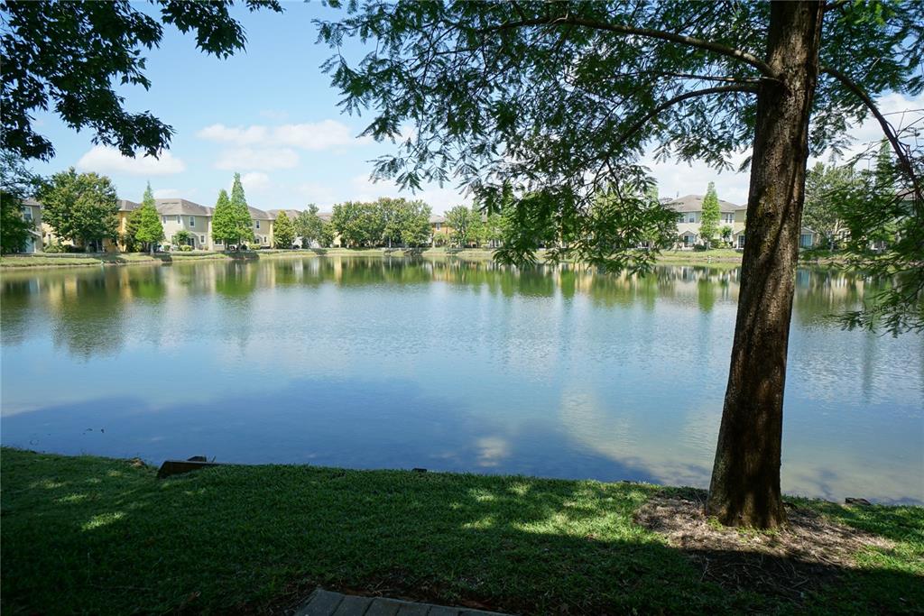 8945 Moonlit Meadows Loop Riverview, FL 33578 - Photo 3 of 20