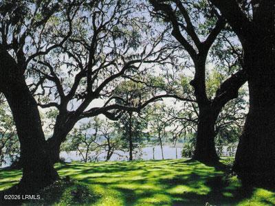 230 Bull Point Drive Seabrook, SC 29940 - Photo 28 of 30 Trees_09-01-09_11_40_40