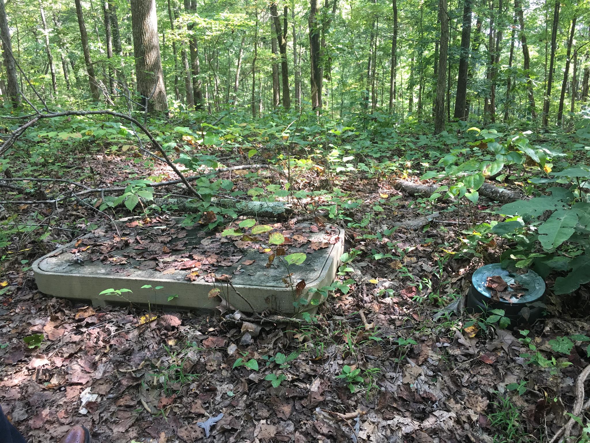 1158 Dora Whitley Road Franklin, TN 37069 - Photo 6 of 19 a view of a garden with a fountain