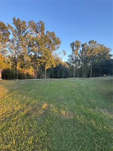 a view of a field with trees in the background