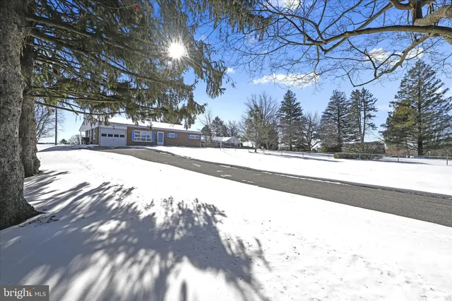 a view of a yard with a tree