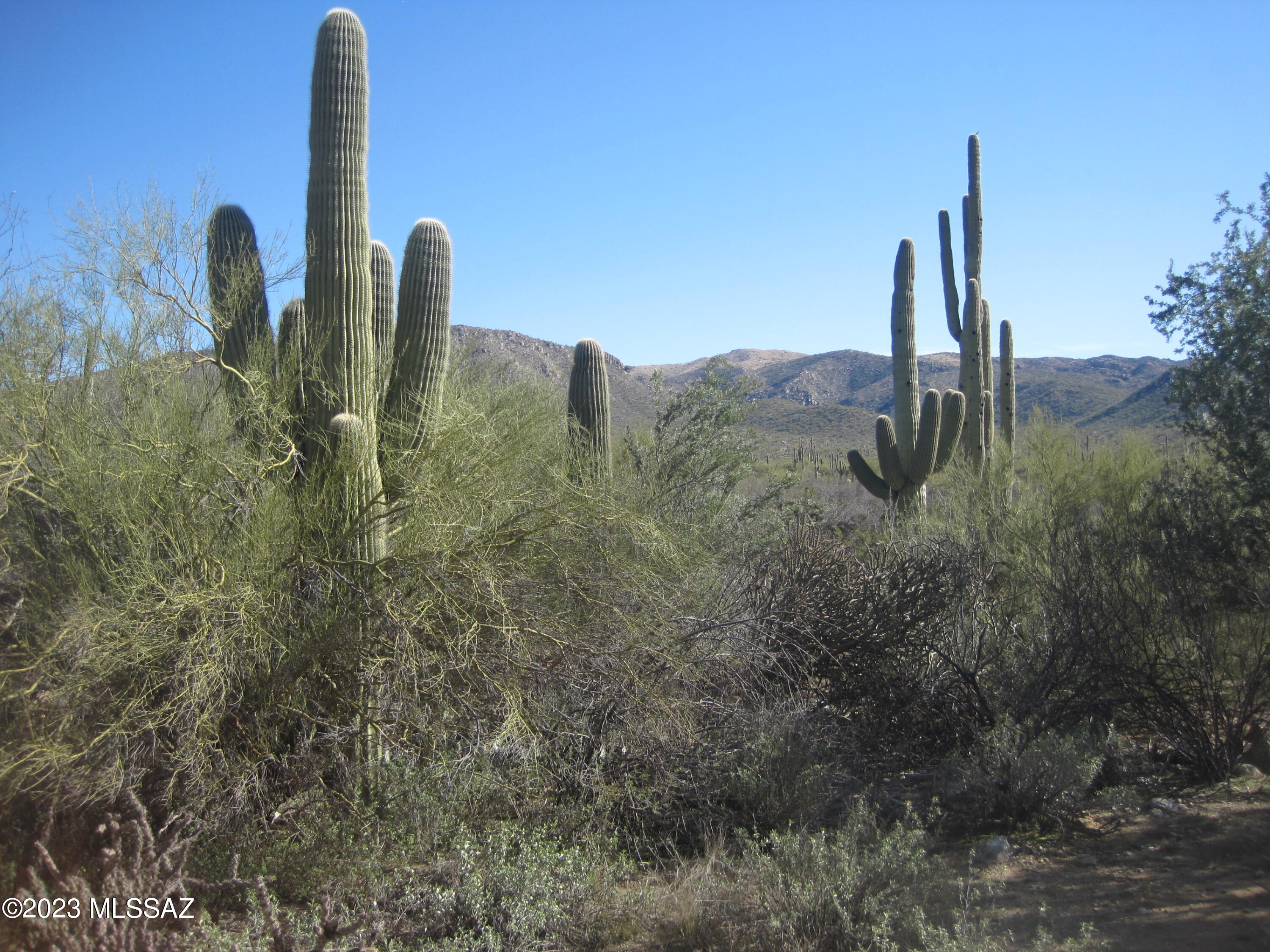 Xxx South Guild Road Marana, AZ 85658 - Photo 25 of 33 Gallery Image 25