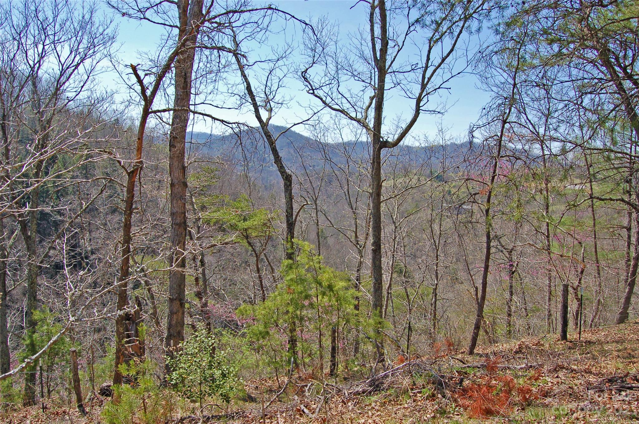 Tbd Riddle Farm Road Marshall, NC 28753 - Photo 21 of 23 a backyard of a house with lots of green space