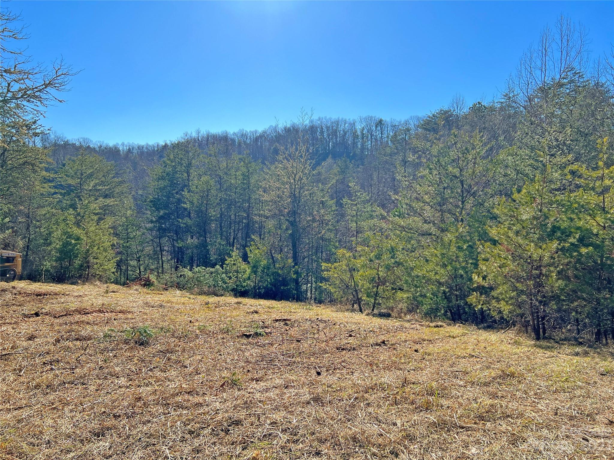 Tbd Riddle Farm Road Marshall, NC 28753 - Photo 23 of 23 a view of a yard with a tree