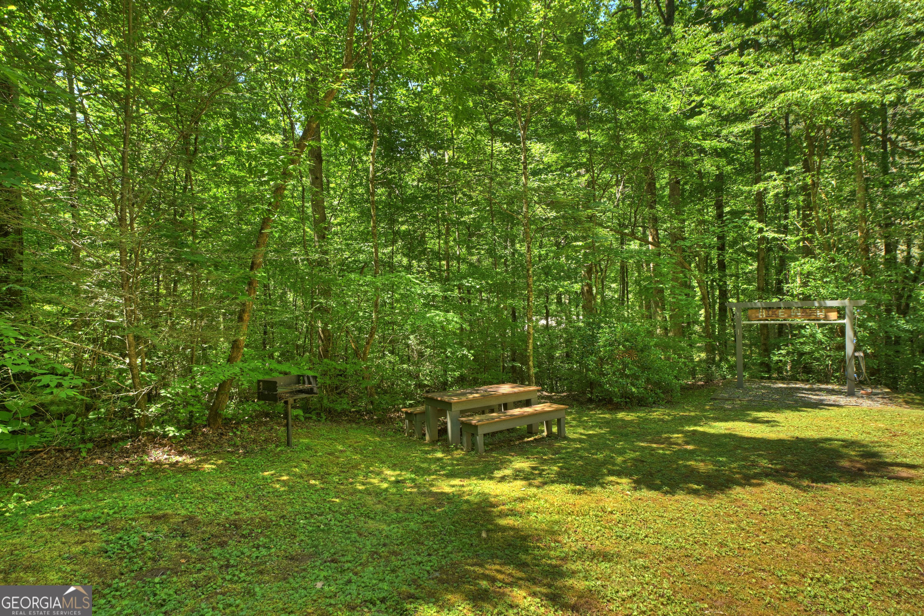 373 Barnes Creek Road Ellijay, GA 30540 - Photo 8 of 41