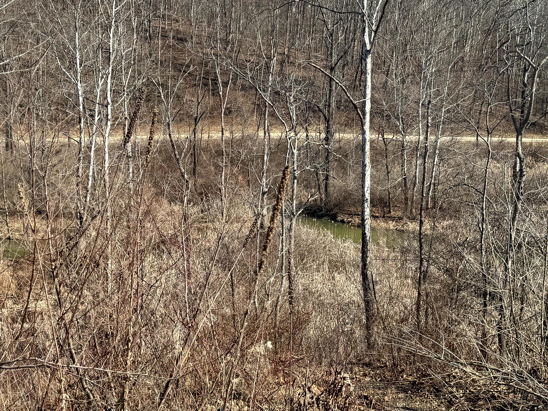 0 Sulphur Spring Road Southeast, Unit SULPHUR SPRINGS) Shawnee, OH 43782 - Photo 20 of 33 CT-20