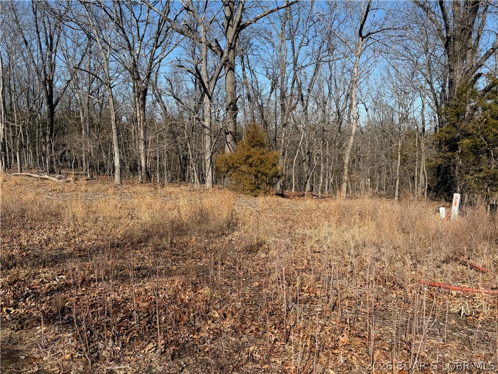 Lot 1079 Shawnee Bend Road Sunrise Beach, MO 65079 - Photo 2 of 3