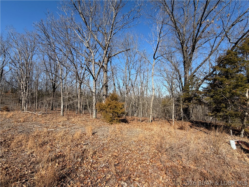 Lot 1079 Shawnee Bend Road Sunrise Beach, MO 65079 - Photo 3 of 3