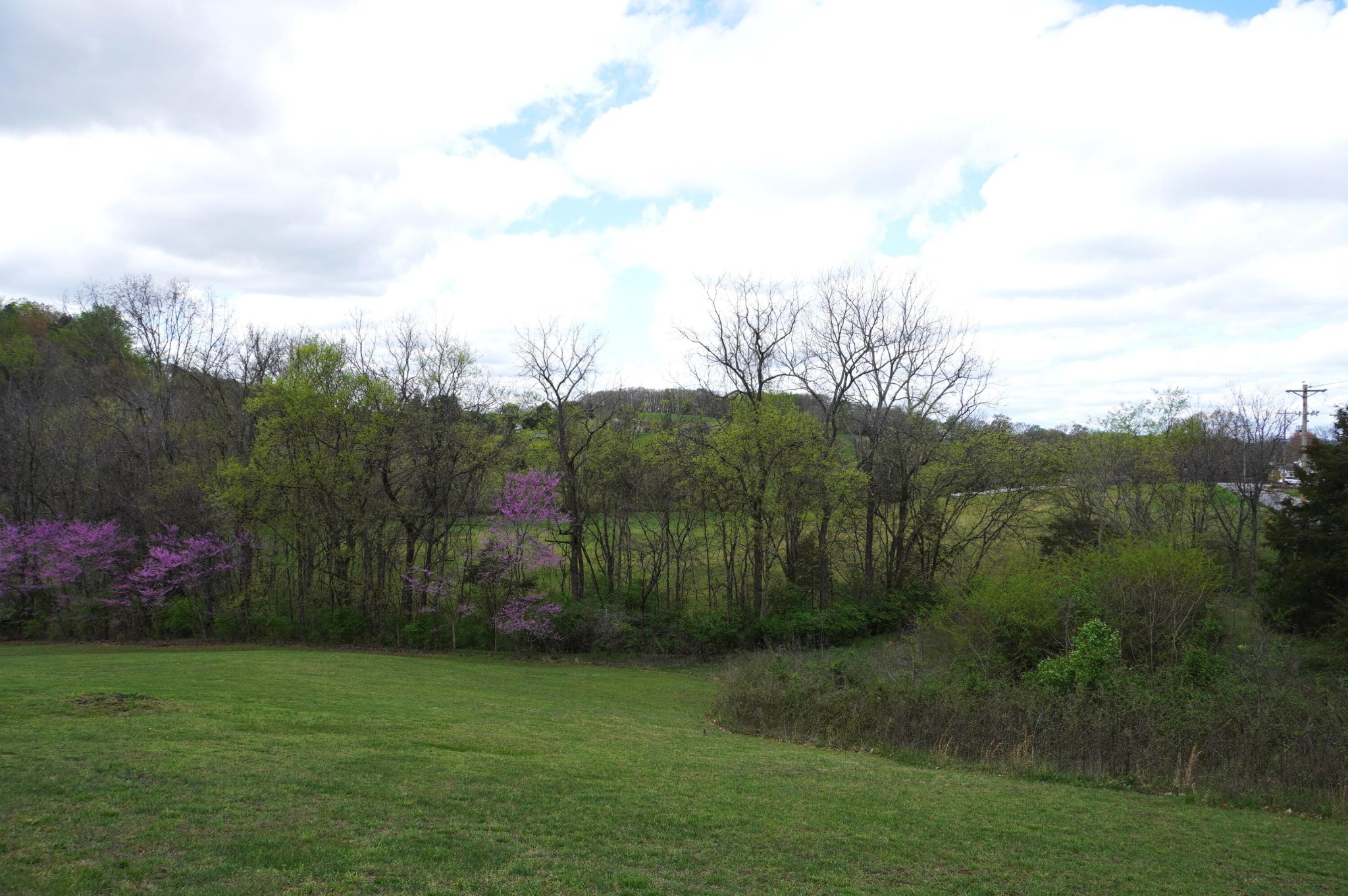 1301 Pratt Road Talbott, TN 37877 - Photo 7 of 31 Gallery Image 7