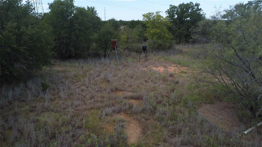 1685 Rocky Mound Road Graham, TX 76450 - Photo 14 of 39 a view of a forest with trees in the background