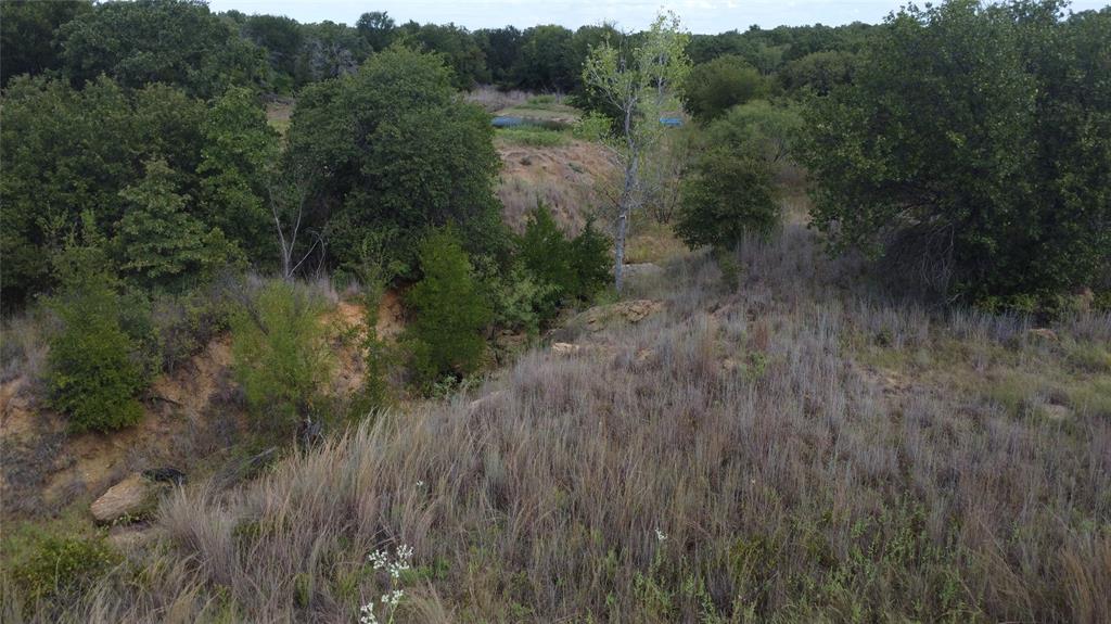 1685 Rocky Mound Road Graham, TX 76450 - Photo 15 of 39 a view of a lush green forest with a lake