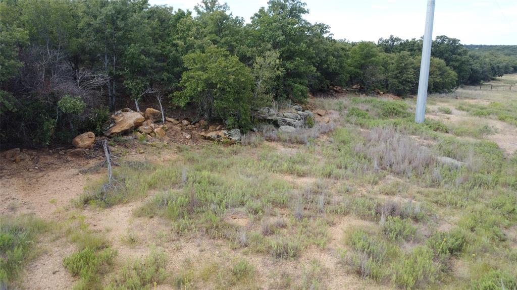 1685 Rocky Mound Road Graham, TX 76450 - Photo 17 of 39 a view of a forest with trees in the background