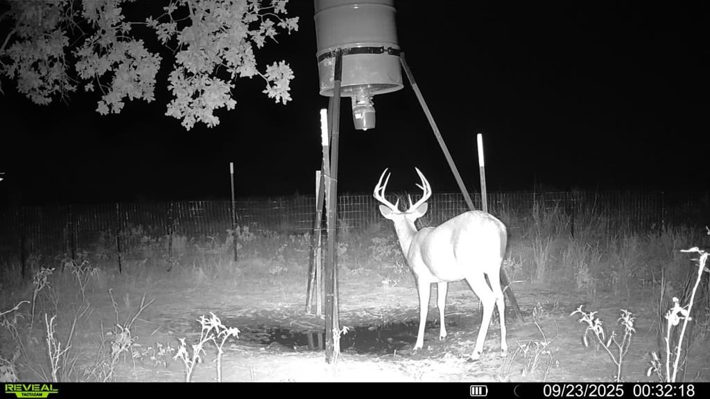 1685 Rocky Mound Road Graham, TX 76450 - Photo 35 of 39