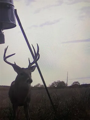 $799,000 | 1685 Rocky Mound Road, Graham, TX 76450