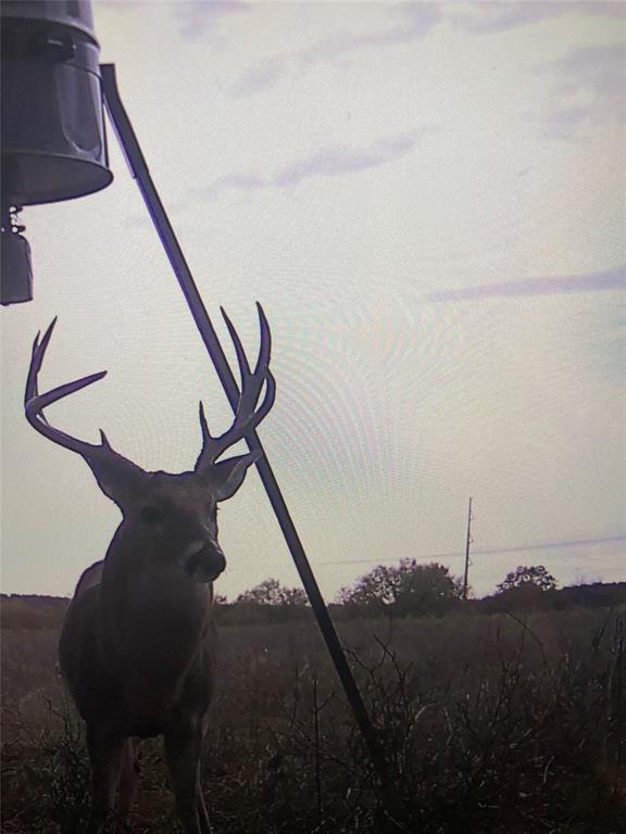 1685 Rocky Mound Road Graham, TX 76450 - Photo 38 of 39
