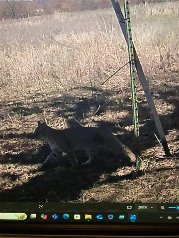 $799,000 | 1685 Rocky Mound Road, Graham, TX 76450