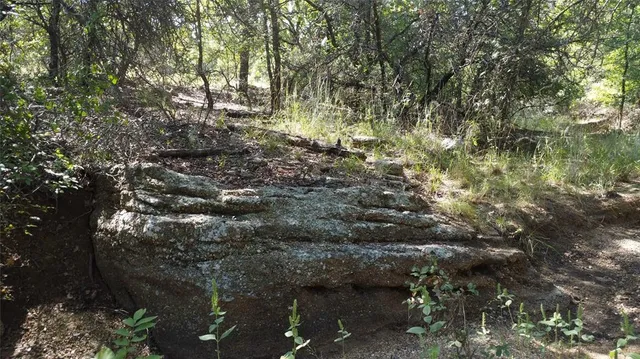 a view of a lush green forest with trees and valleys