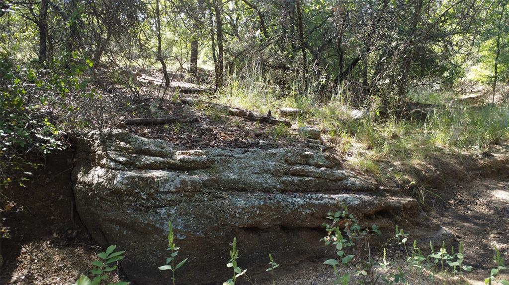 1685 Rocky Mound Road Graham, TX 76450 - Photo 9 of 39