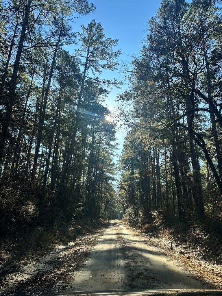 0 Fm 357 Kennard, TX 75847 - Photo 4 of 8