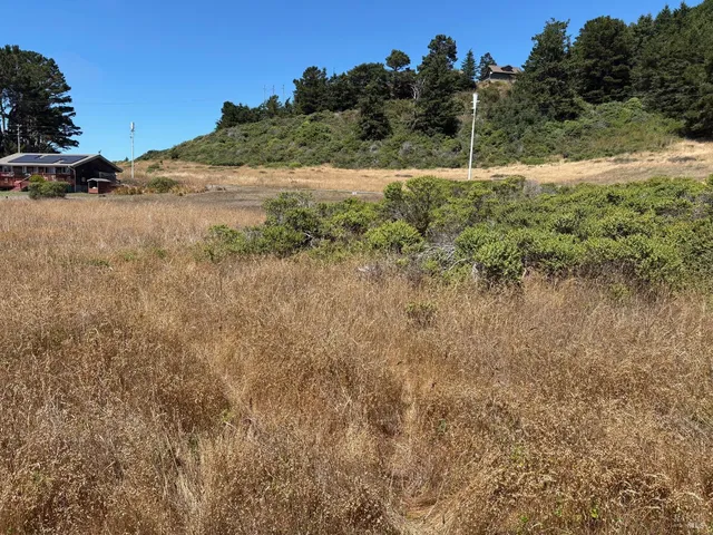 a view of a field with a tree in the background