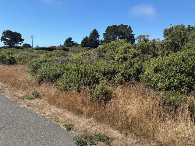 a view of a field with a tree in background