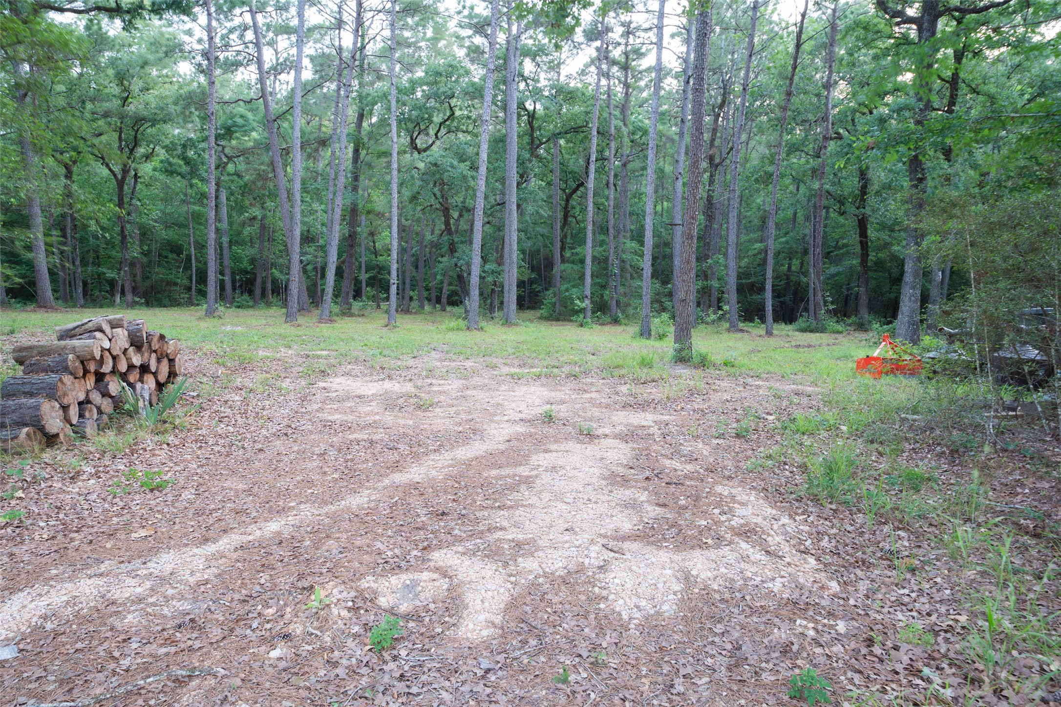 980 N Point North Huntsville, TX 77320 - Photo 7 of 45
