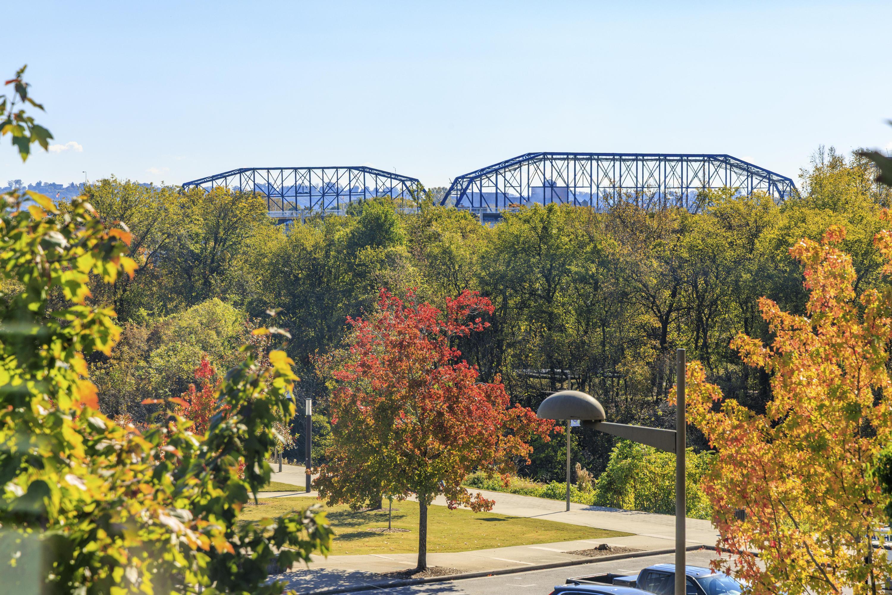 200 Manufacturers Road, Unit 348 Chattanooga, TN 37405 - Photo 24 of 46 Bridge & Park Views