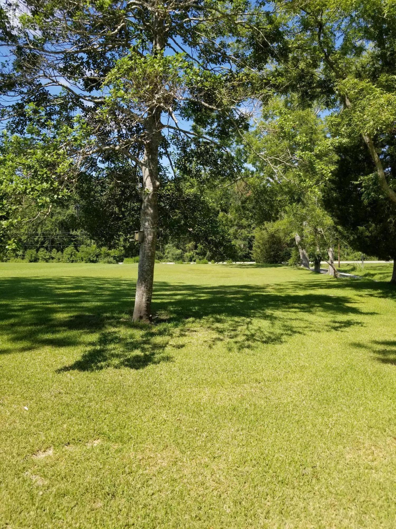 1174 Riggs Road Maysville, NC 28555 - Photo 4 of 27 land 5
