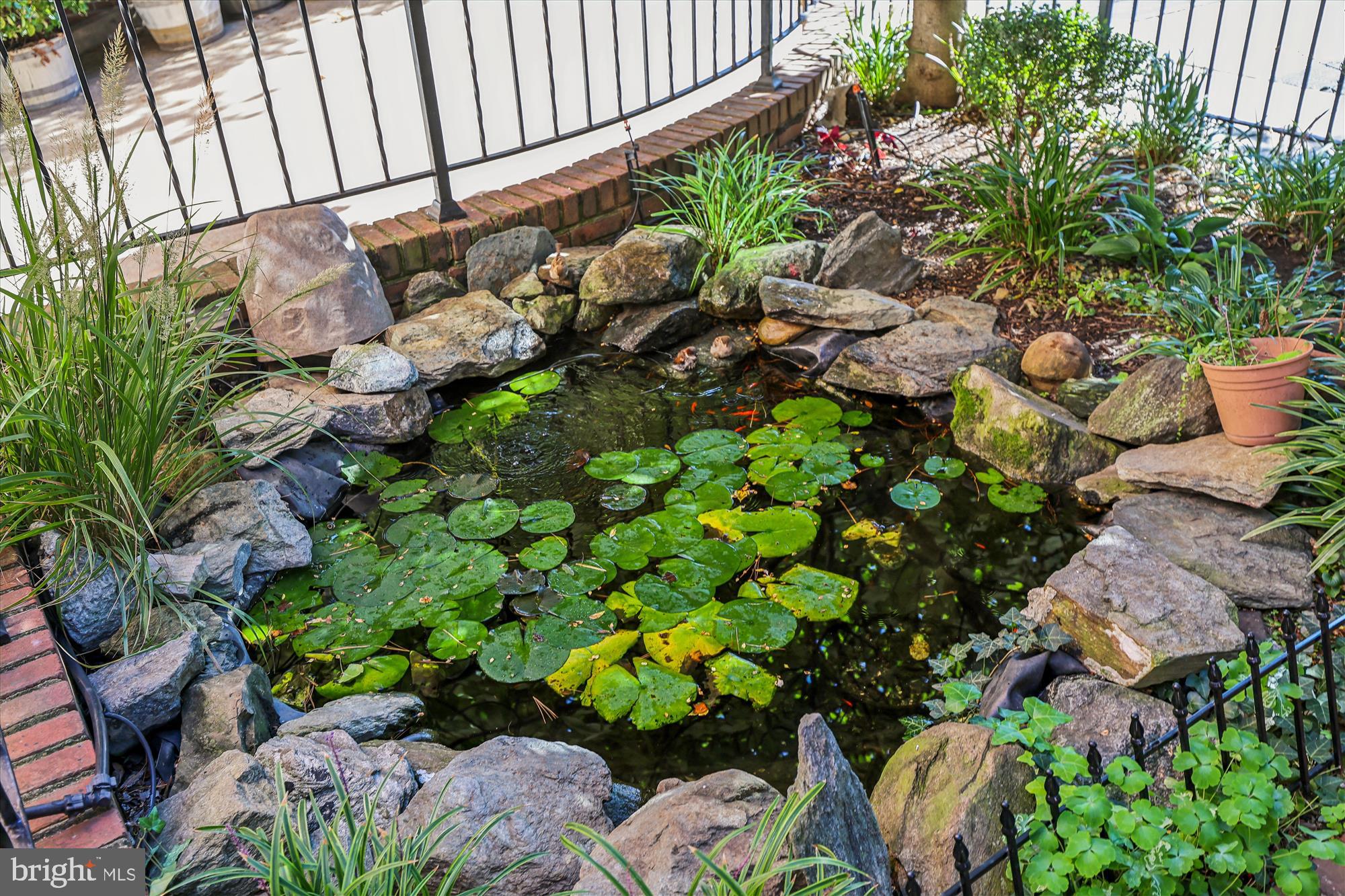 1803 T Street Northwest, Unit 3 Washington, DC 20009 - Photo 9 of 45 a backyard of a house with lots of green space