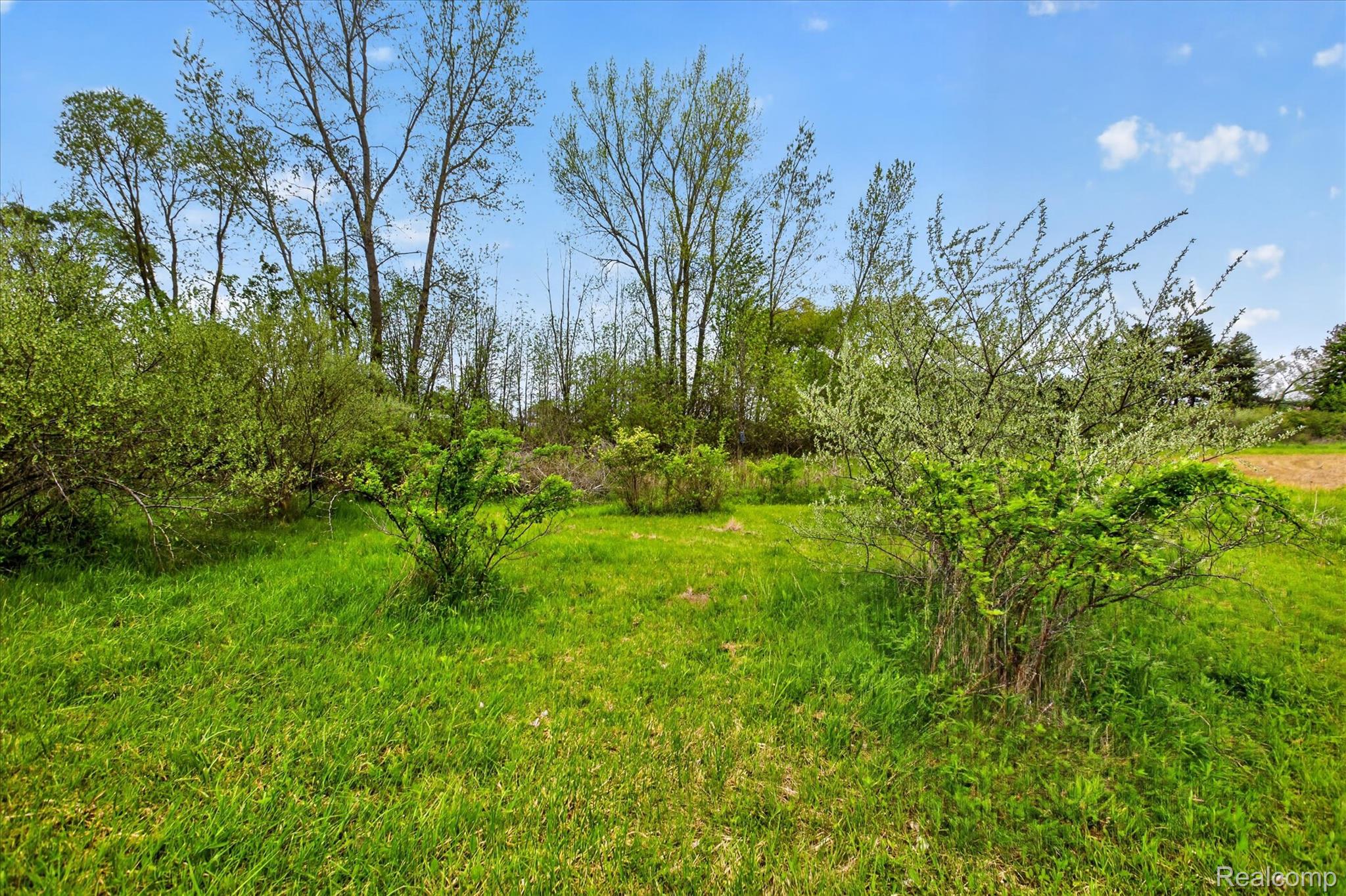 7950 Mayville Road Marlette, MI 48453 - Photo 32 of 50 32-7950-Mayville-Rd-WindowStill.jpg