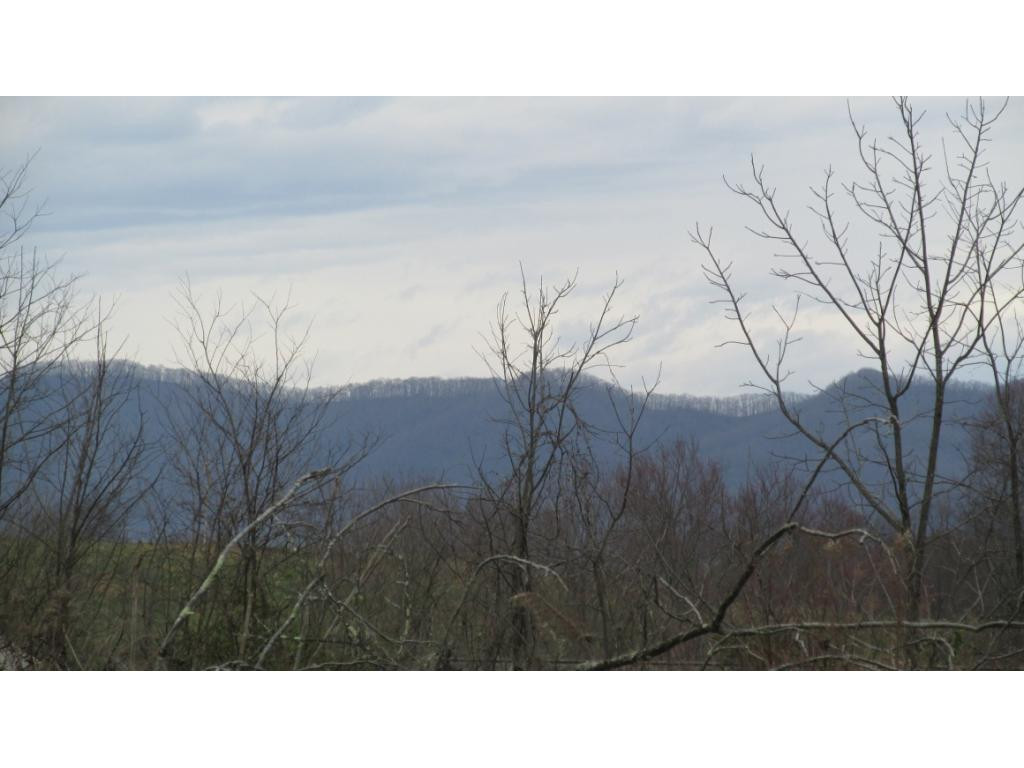 mtn view from back of propert