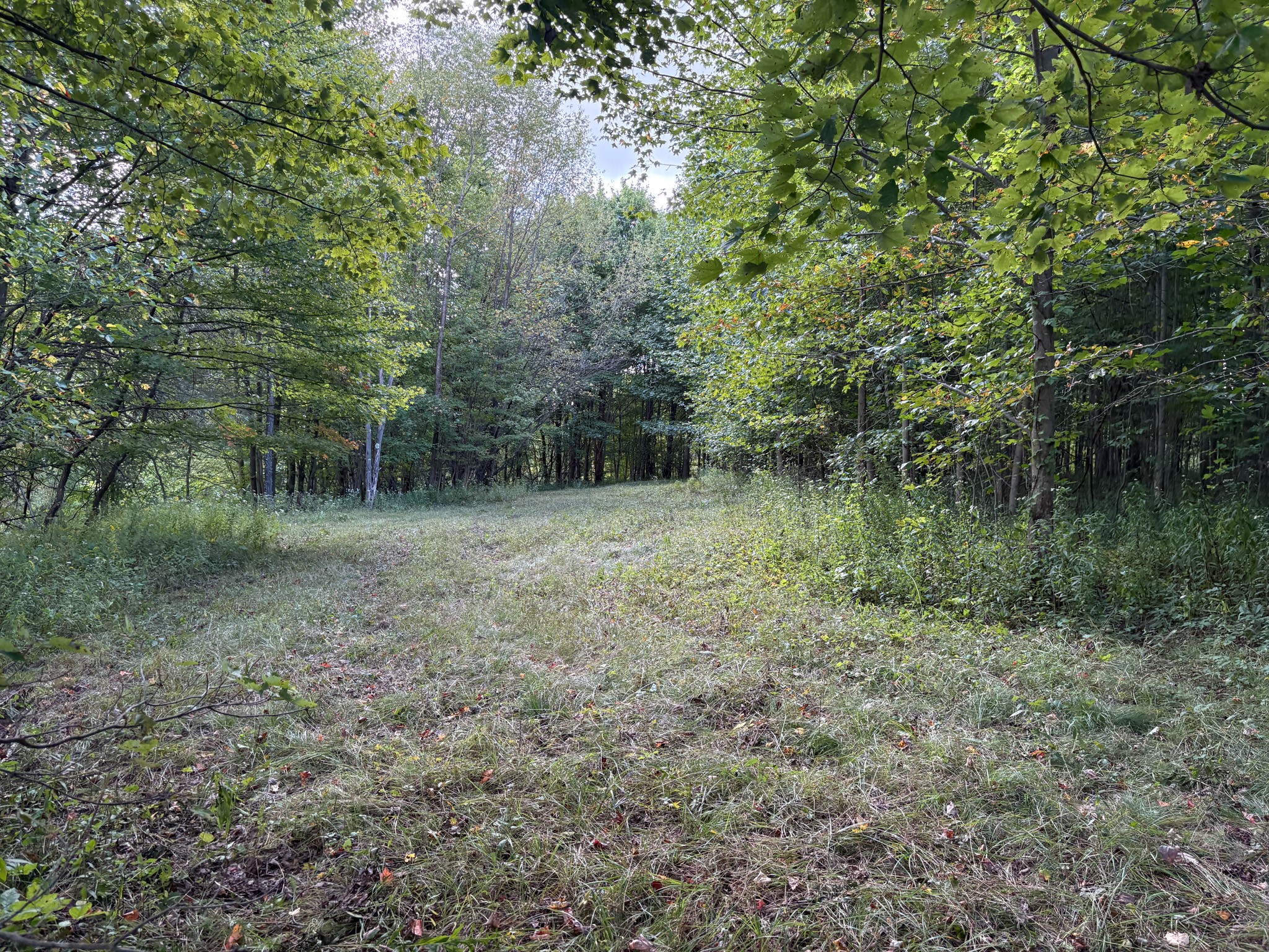 Scribner Road Pierpont, OH 44082 - Photo 11 of 20 Gallery Image 11