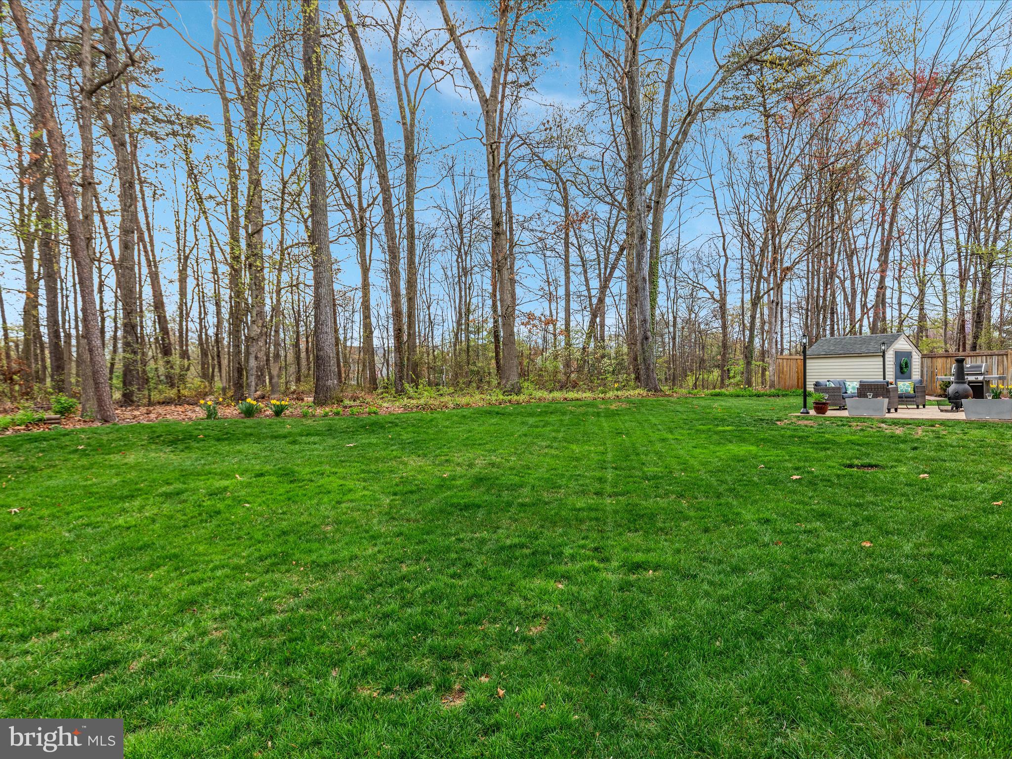 20299 Mustoe Place Ashburn, VA 20147 - Photo 39 of 45 a garden with trees in front of it