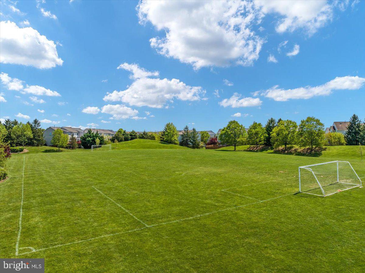 20299 Mustoe Place Ashburn, VA 20147 - Photo 43 of 45 a view of a big yard with lawn chairs and plants