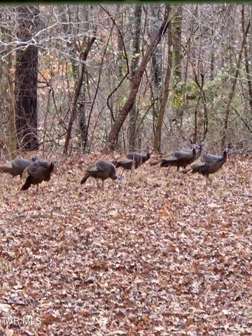 $179,000 | 1297 Dry Creek Road, Blackwater, VA 24221