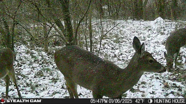 $179,000 | 1297 Dry Creek Road, Blackwater, VA 24221