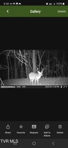 $179,000 | 1297 Dry Creek Road, Blackwater, VA 24221