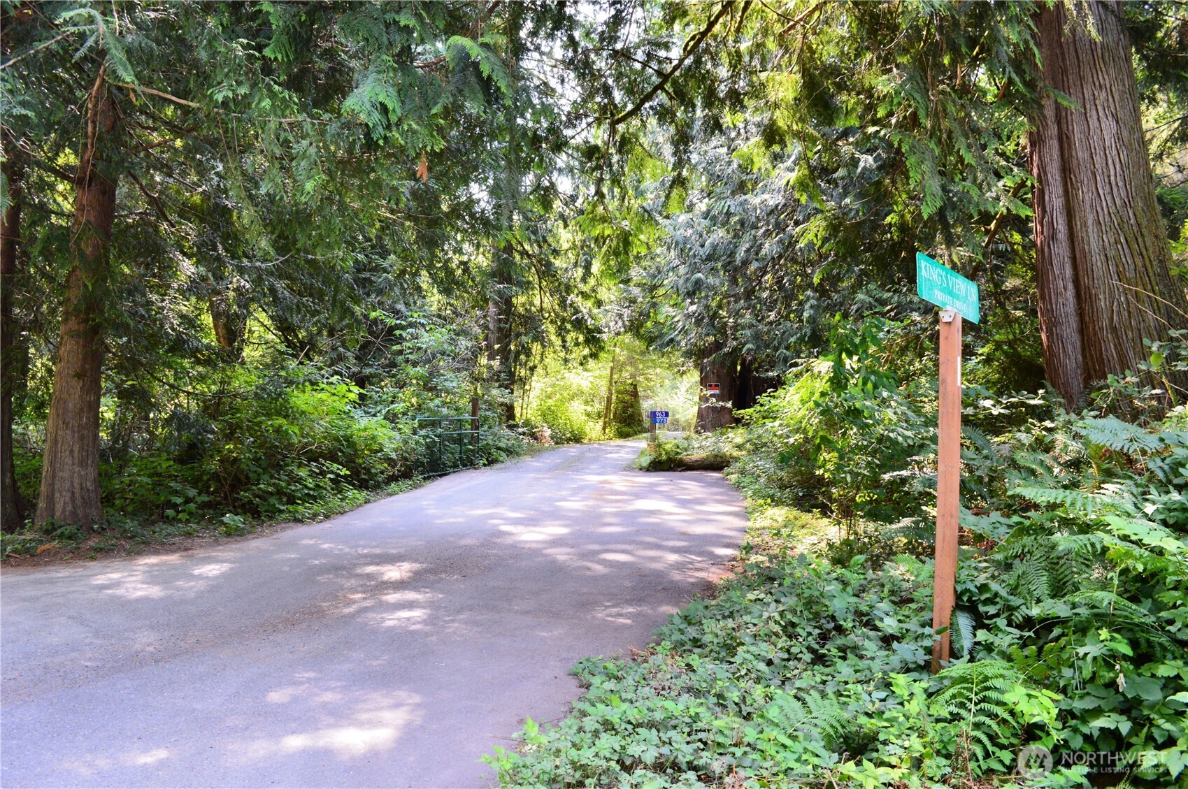 a view of a yard with plants and trees